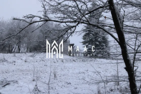 Teren cu izvor de apă minerală Dangești, Punctul Valea Mare