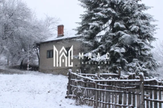 Teren cu izvor de apă minerală Dangești, Punctul Valea Mare