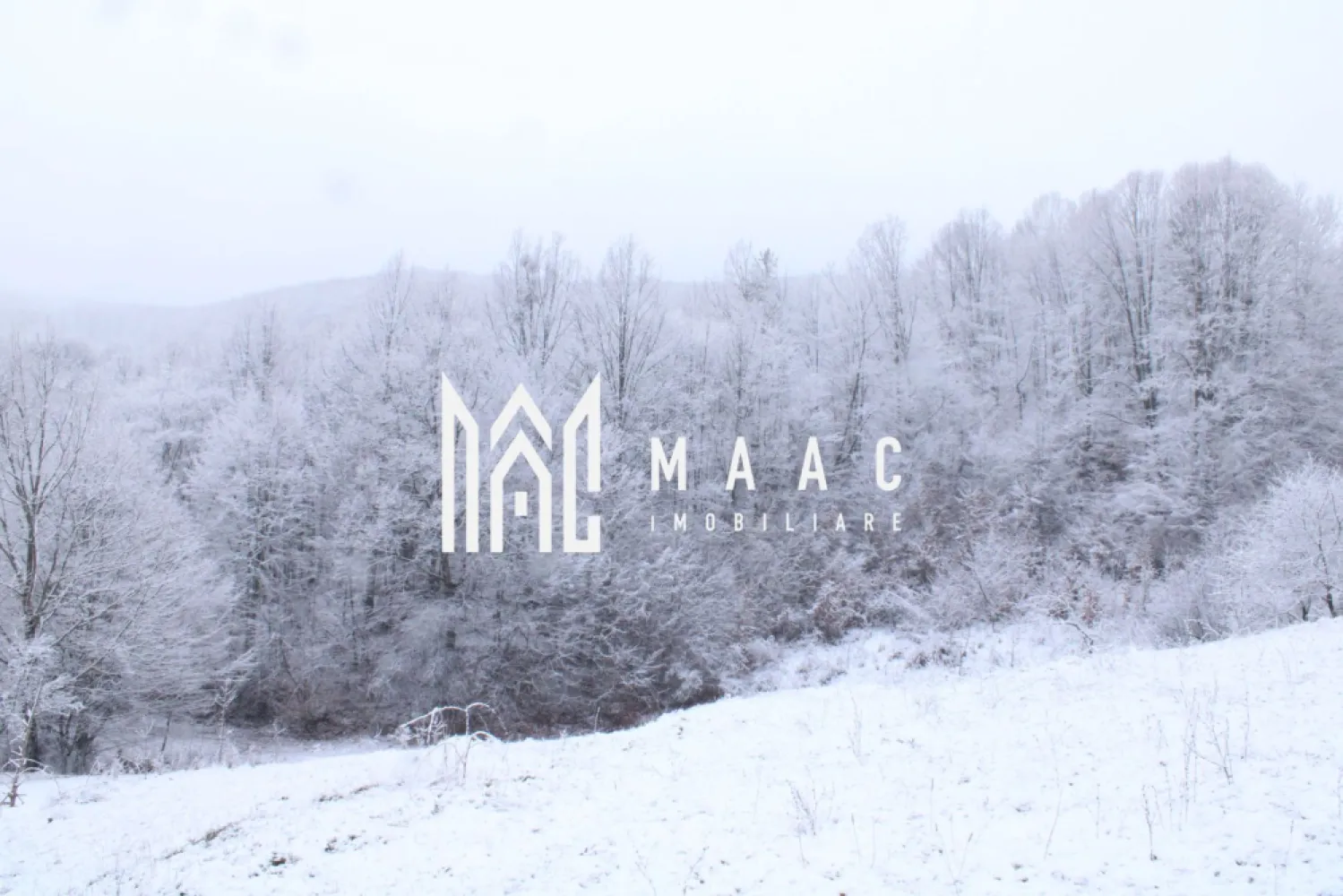 Teren cu izvor de apă minerală Dangești, Punctul Valea Mare