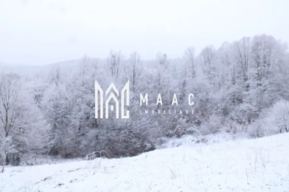 Teren cu izvor de apă minerală Dangești, Punctul Valea Mare