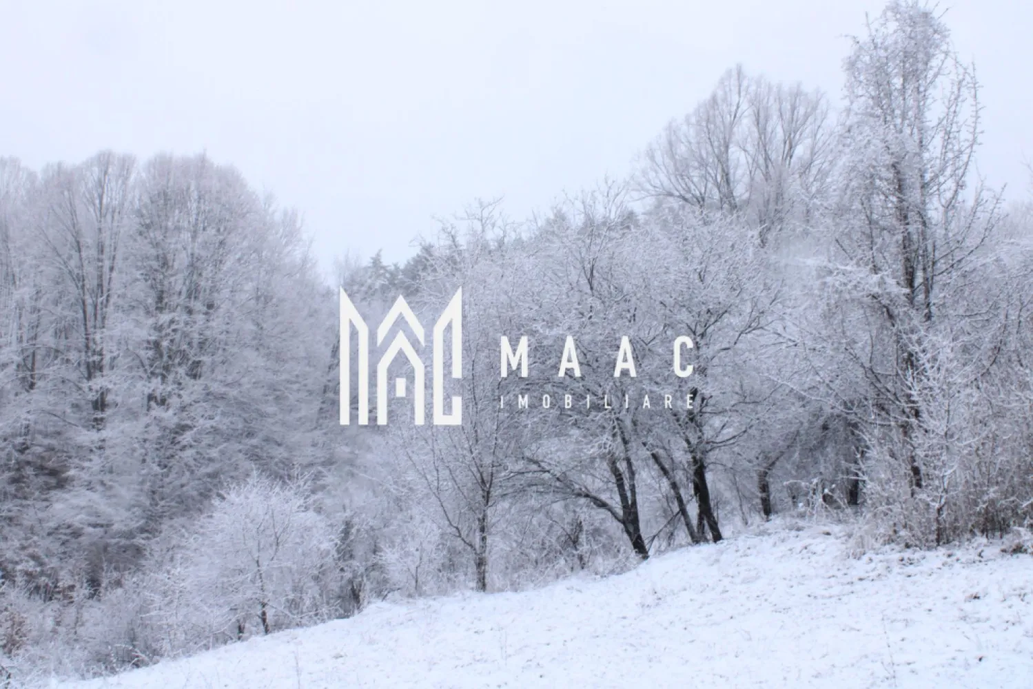 Teren cu izvor de apă minerală Dangești, Punctul Valea Mare