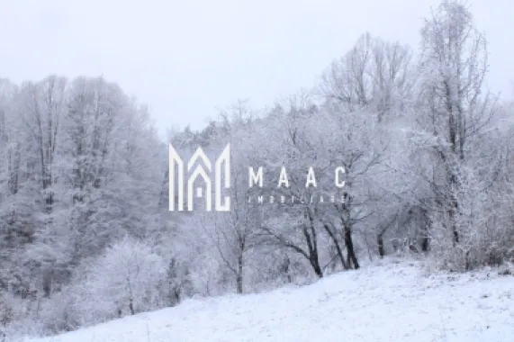 Teren cu izvor de apă minerală Dangești, Punctul Valea Mare