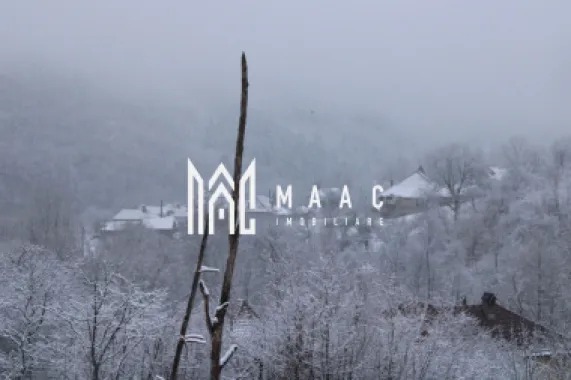 Teren cu izvor de apă minerală Dangești, Punctul Valea Mare