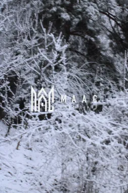 Teren cu izvor de apă minerală Dangești, Punctul Valea Mare