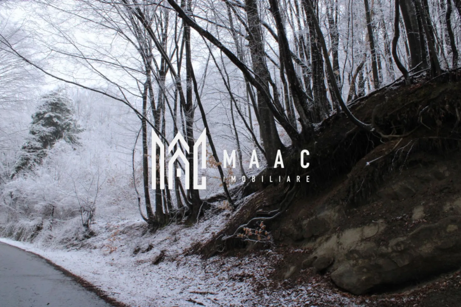 Teren cu izvor de apă minerală Dangești, Punctul Valea Mare