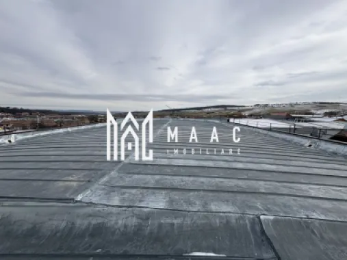 Hală industrială de vânzare I 1100 mp I Cisnadie