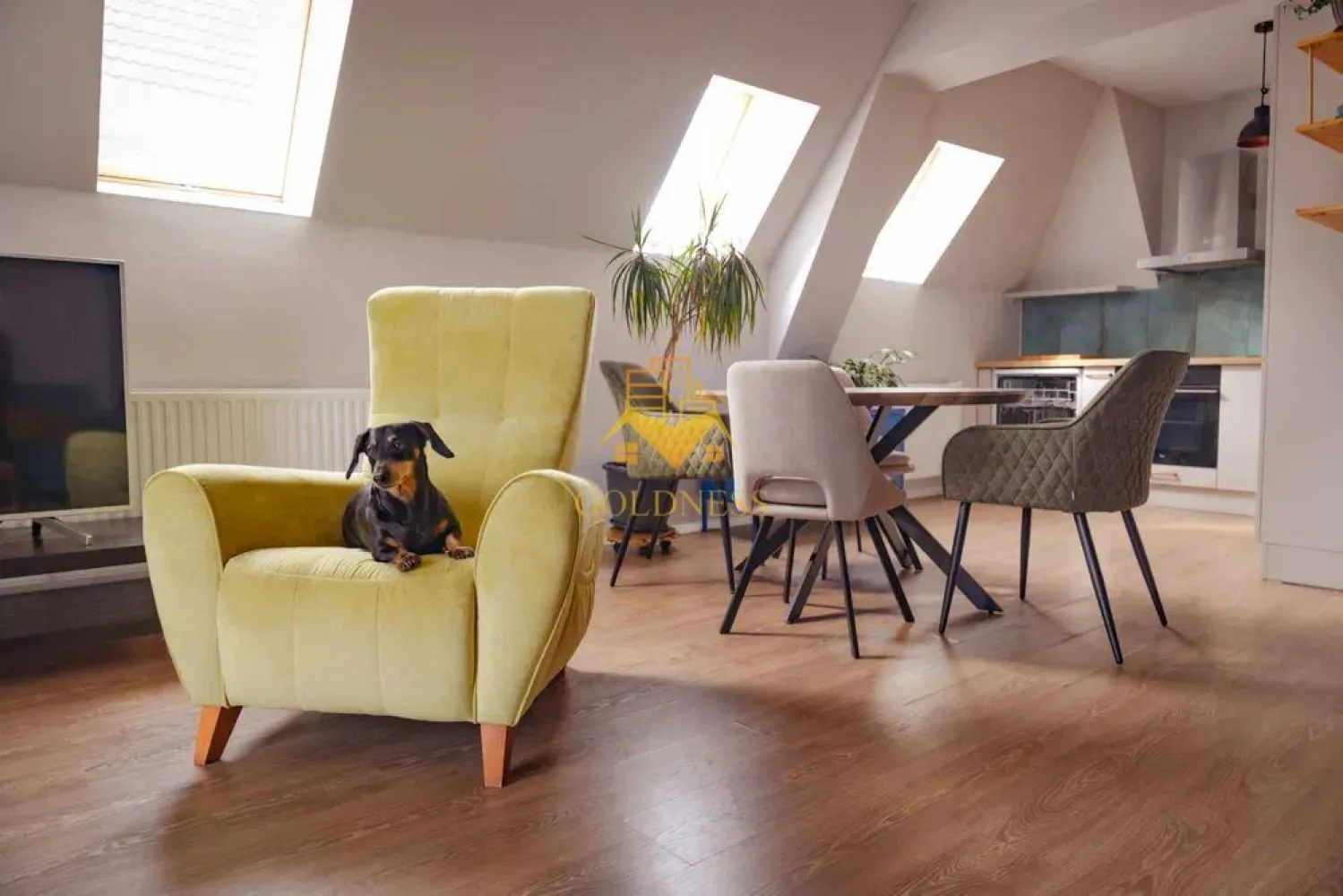 3 camere open space, parcare, Calea Turzii, Europa, Pet Friendly - GOLDNESS Imobiliare vă propune spre închiriere un apartament cu 3 camere, complet mobilat și utilat, la etajul 2 într-un imobil de 2 etaje, în cartierul Europa Dispune de loc de parcare! Apartamentul este compartimentat astfel: - 2 dormitoare cu paturi matrimonial, dressing, noptiere - living cu bucatarie open-space complet utilată, canapea extensibla, loc de luat masa - baie cu vană, calorifer port prosop inox și dulap pentru depozitare. - terasa de 7 mp. Imobilul este dotat cu toate cele necesare- centrală proprie, mașină de spălat haine, masina de spalat vase, frigider, plită electrică, hotă, aer conditionat, etc. Se află în apropierea stațiilor de transport în comun, magazine, restaurante, spații verzi, farmacii, etc. Dacă sunteți interesați de acest apartament și doriți să îl vizionați, dar și pentru alte oferte sau detalii nu ezitați să ne contactați telefonic sau prin e-mail - goldnessimobiliare@gmail.com. Vă stăm la dispoziție! Pentru intermediere se percepe un comision de 50% din prețul chiriei! }}