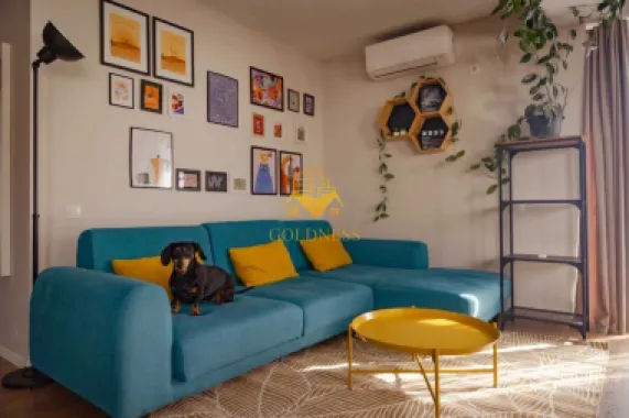 3 camere open space, parcare, Calea Turzii, Europa, Pet Friendly