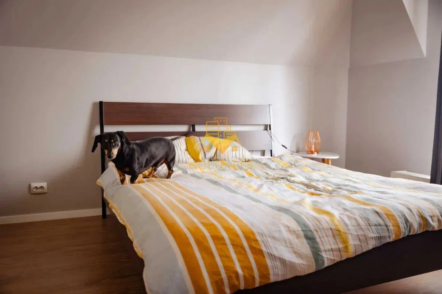 3 camere open space, parcare, Calea Turzii, Europa, Pet Friendly