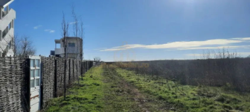 Teren Intravilan Vama Veche | 7.495 mp | Oportunitate Investiție