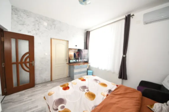 De vanzare casa cu 3 apartamente + anexa 75 mp, Comision 0%