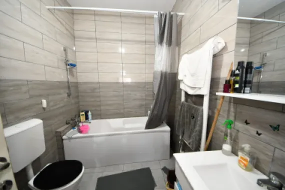 De vanzare casa cu 3 apartamente + anexa 75 mp, Comision 0%