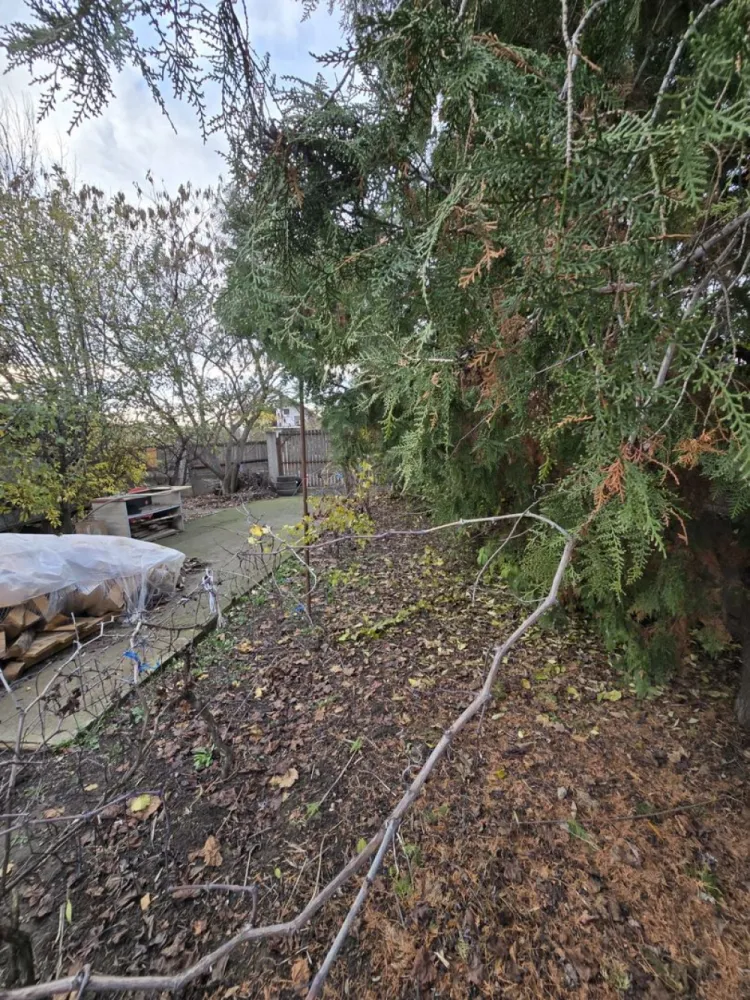 Exclusivitate! Proprietate in Sendreni, jud. Galati - 59.900 EUR