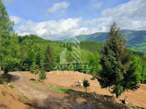 Oportunitate! Domeniu montan, cu lac propriu, oras Lupeni, Hunedoara