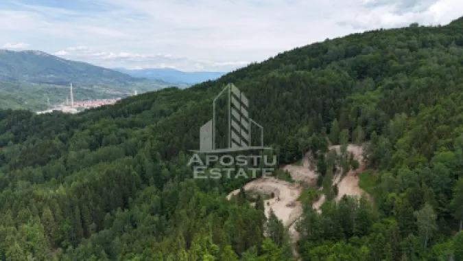 Oportunitate! Domeniu montan, cu lac propriu, oras Lupeni, Hunedoara
