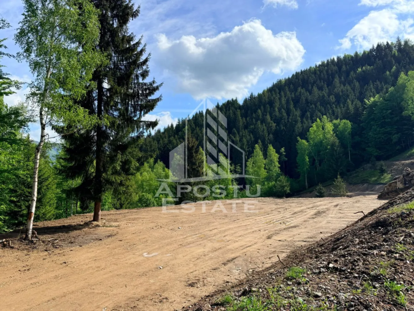 Oportunitate! Domeniu montan, cu lac propriu, oras Lupeni, Hunedoara