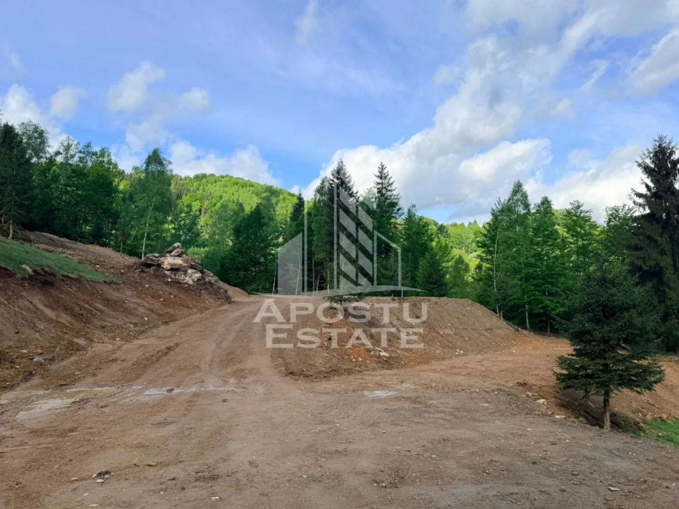 Oportunitate! Domeniu montan, cu lac propriu, oras Lupeni, Hunedoara