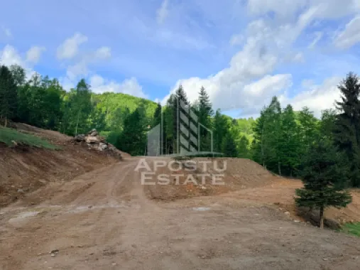 Oportunitate! Domeniu montan, cu lac propriu, oras Lupeni, Hunedoara