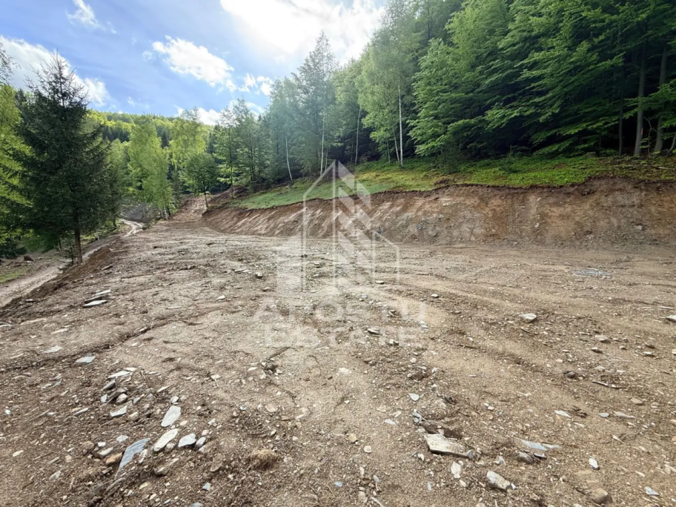 Oportunitate! Domeniu montan, cu lac propriu, oras Lupeni, Hunedoara