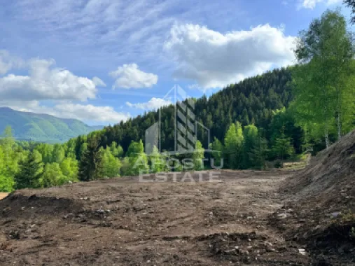 Oportunitate! Domeniu montan, cu lac propriu, oras Lupeni, Hunedoara