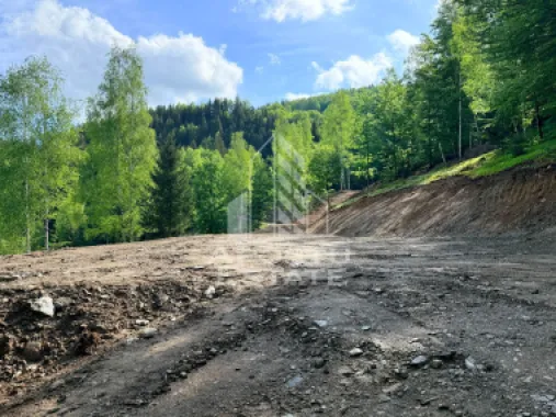Oportunitate! Domeniu montan, cu lac propriu, oras Lupeni, Hunedoara