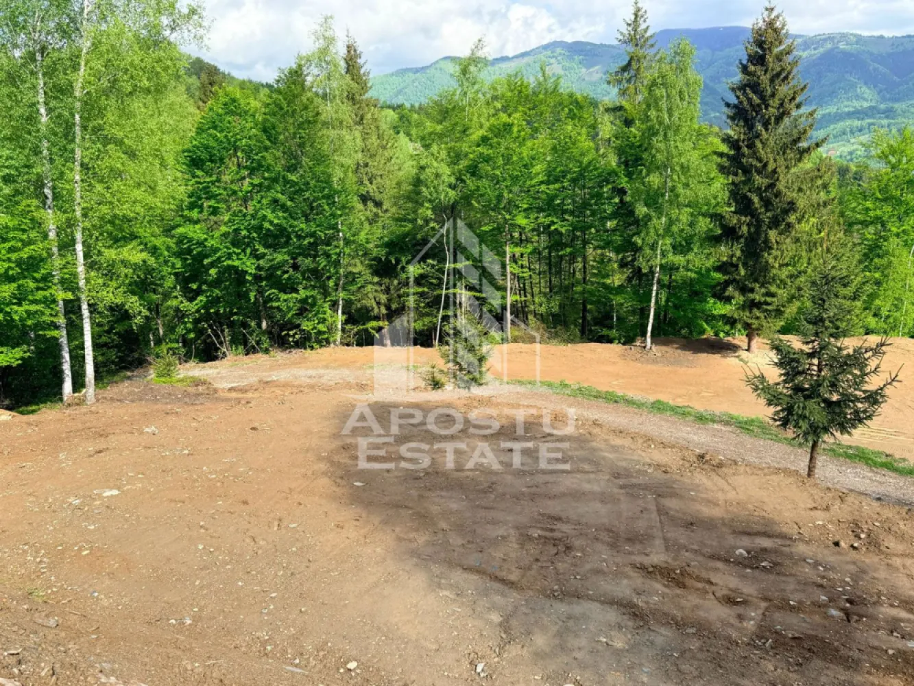 Oportunitate! Domeniu montan, cu lac propriu, oras Lupeni, Hunedoara