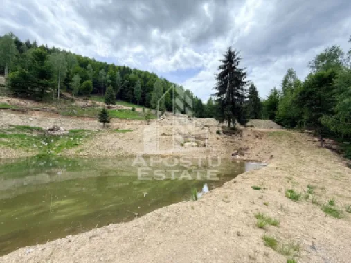 Oportunitate! Domeniu montan, cu lac propriu, oras Lupeni, Hunedoara