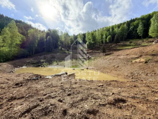 Oportunitate! Domeniu montan, cu lac propriu, oras Lupeni, Hunedoara