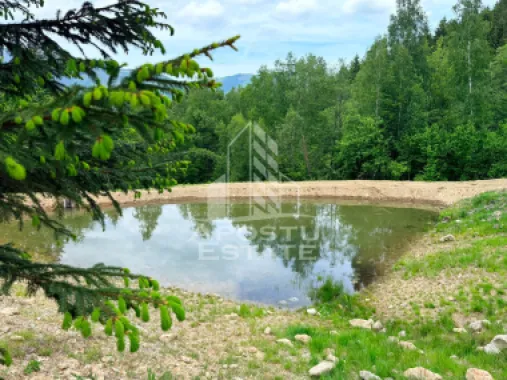 Oportunitate! Domeniu montan, cu lac propriu, oras Lupeni, Hunedoara
