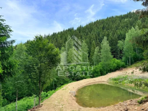 Oportunitate! Domeniu montan, cu lac propriu, oras Lupeni, Hunedoara