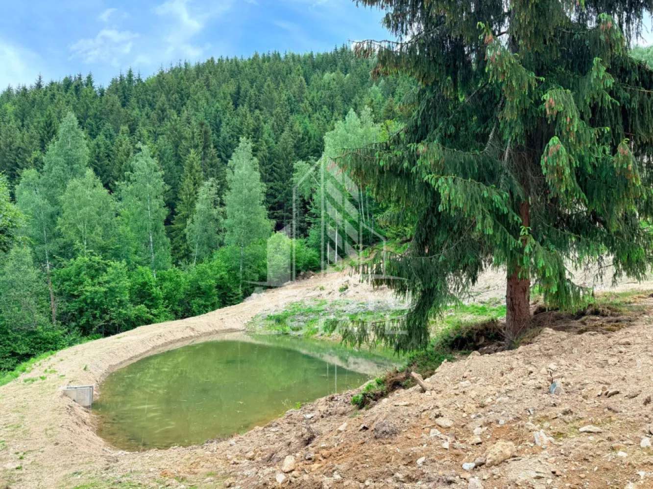 Oportunitate! Domeniu montan, cu lac propriu, oras Lupeni, Hunedoara