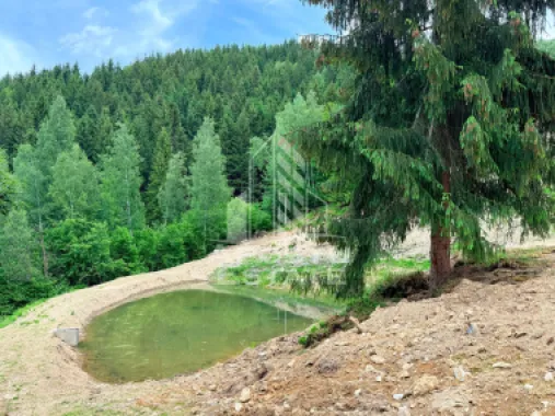 Oportunitate! Domeniu montan, cu lac propriu, oras Lupeni, Hunedoara