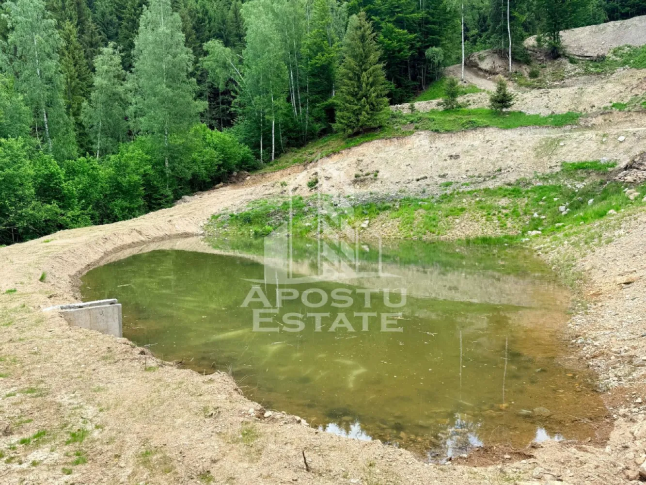 Oportunitate! Domeniu montan, cu lac propriu, oras Lupeni, Hunedoara