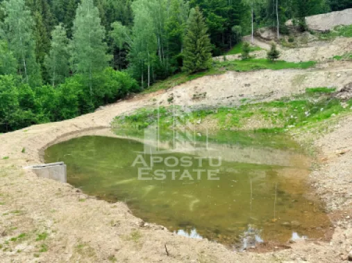 Oportunitate! Domeniu montan, cu lac propriu, oras Lupeni, Hunedoara