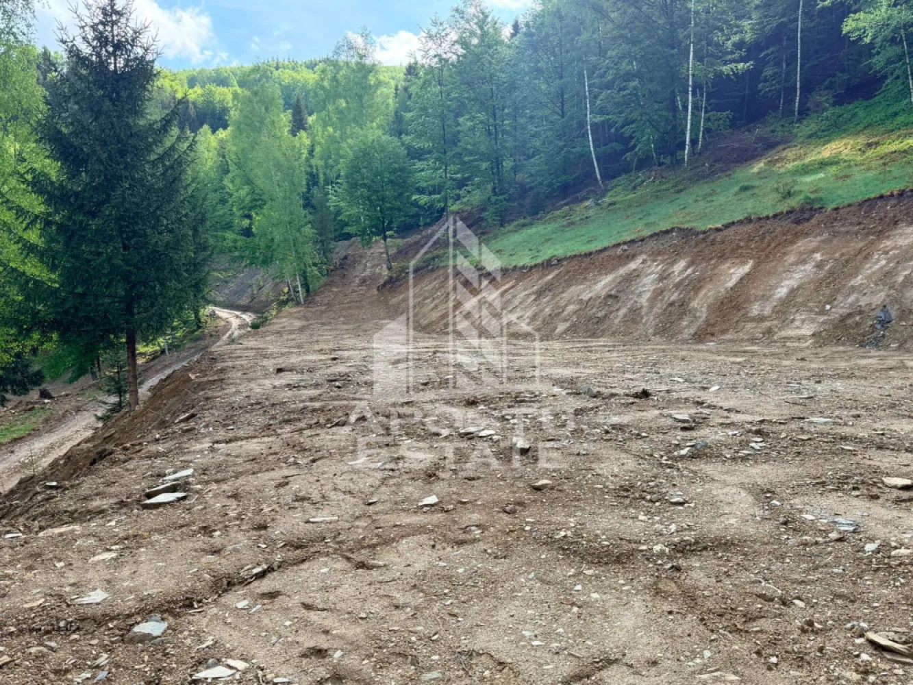 Oportunitate! Domeniu montan, cu lac propriu, oras Lupeni, Hunedoara