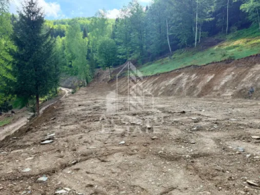 Oportunitate! Domeniu montan, cu lac propriu, oras Lupeni, Hunedoara