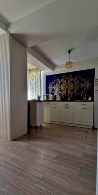 Vanzare - imobil cu posibilitati de investitie multiple - Mazepa 2