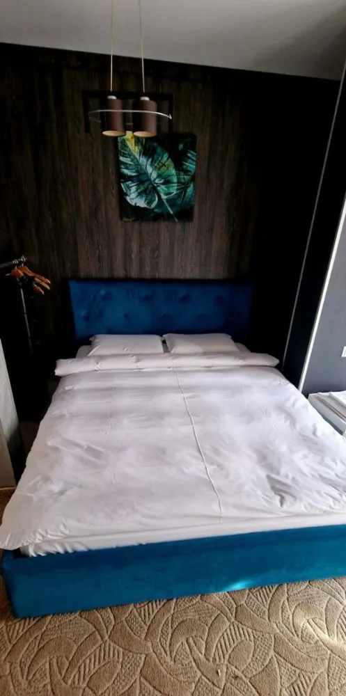 Vanzare - imobil cu posibilitati de investitie multiple - Mazepa 2