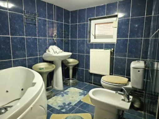 Casa individuala zona centrala - Facultatea de mecanica