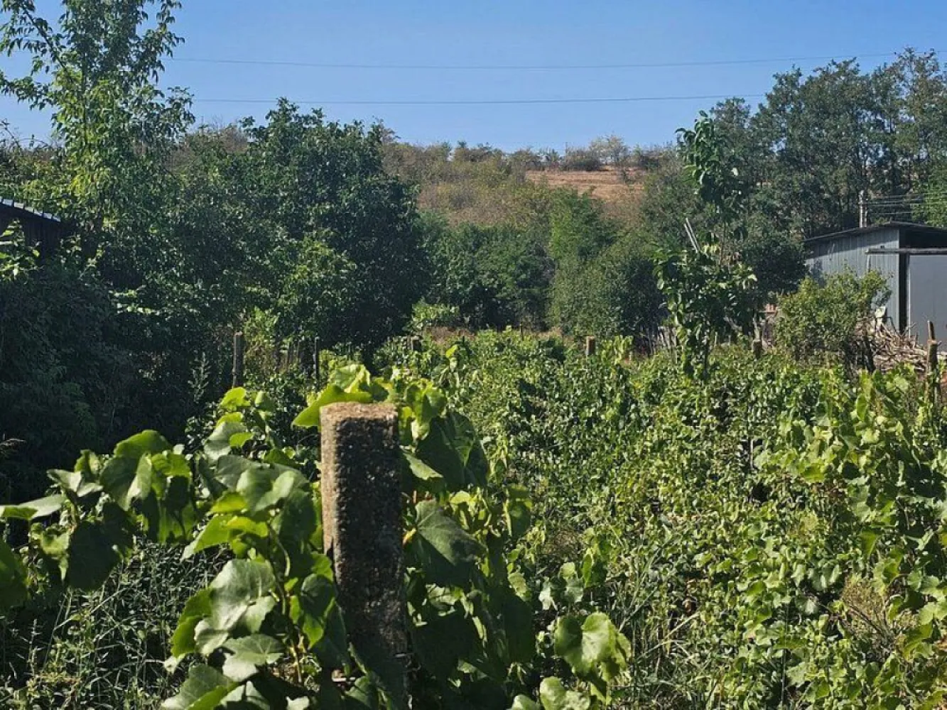 Teren 1800 mp + casa batraneasca - Fartanesti, jud. Galati - Visezi la un colț de natură, departe de agitația orașului? Această proprietate situată în Fârțănești, la doar 30 km de Galați, îți oferă ocazia perfectă de a te bucura de liniște și aer curat, într-un cadru natural. Detalii Proprietate: - Suprafață Teren: 1800 mp de teren intravilan, ideal pentru amenajări diverse - Vegetatie: Pe teren se găsesc pomi fructiferi și viță de vie ce îți va încânta simțurile cu arome deosebite. - Construcție: O căsuță mică din paiantă, cu centura de beton și acoperiș din tablă, perfectă pentru o escapadă de weekend sau pentru a-ți crea propriul refugiu în mijlocul naturii. - Acces: Proprietatea beneficiază de acces facil printr-un drum asfaltat, asigurând astfel legătura cu principalele artere de transport. - Utilități: Toate utilitățile necesare sunt disponibile pe teren, oferind confortul dorit în activitățile zilnice. Preț: 17.500 EUR – o oportunitate excelentă de investiție în zonă! Se percepe comision de intermediere standard. Aceasta este o oportunitate rară de a deveni proprietar al unei oaze de liniște, fie că vrei să te bucuri de un stil de viață rural sau să dezvolți un proiect personal. Nu rata ocazia de a viziona această proprietate! Contactează-ne pentru mai multe detalii și programări la vizionare!