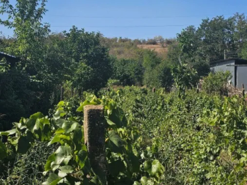 Logo MAG INVEST NAV SRL logo