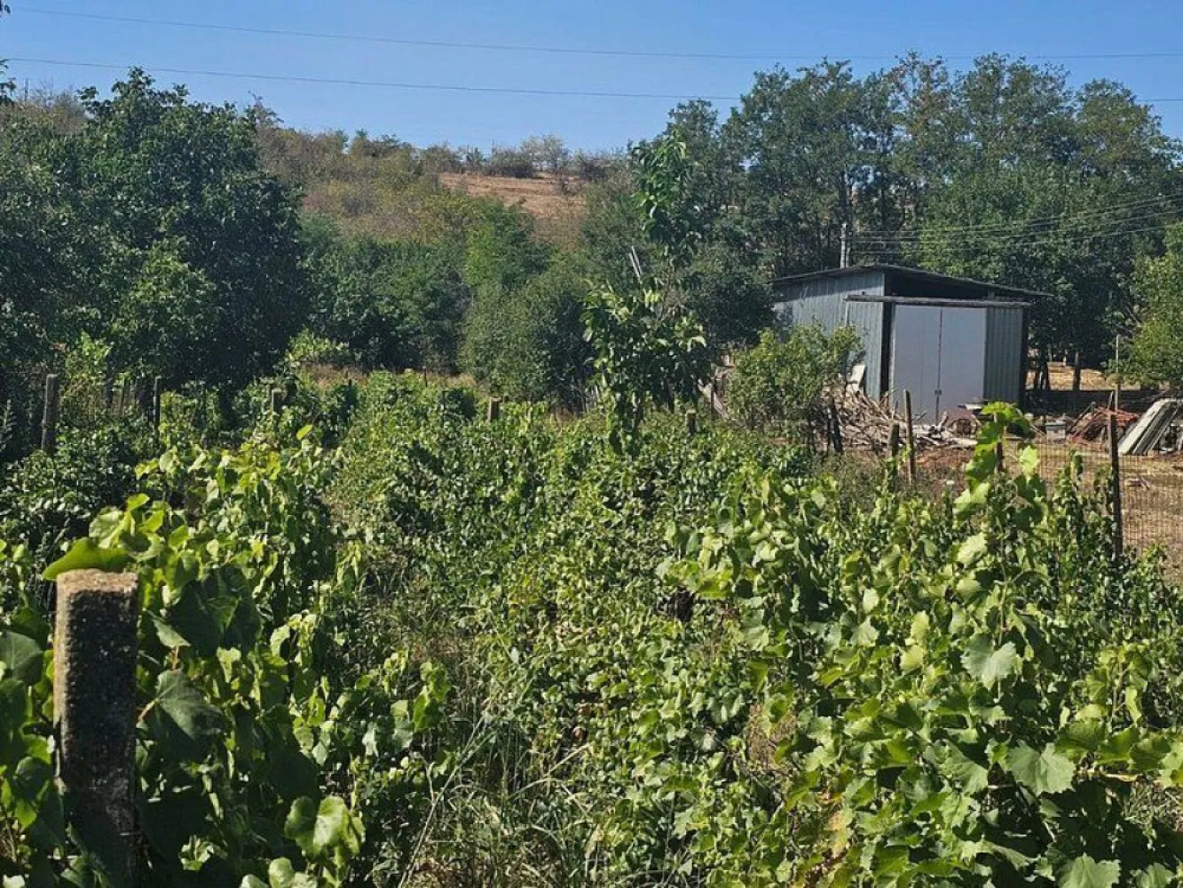 Teren 1800 mp + casa batraneasca - Fartanesti, jud. Galati - Visezi la un colț de natură, departe de agitația orașului? Această proprietate situată în Fârțănești, la doar 30 km de Galați, îți oferă ocazia perfectă de a te bucura de liniște și aer curat, într-un cadru natural. Detalii Proprietate: - Suprafață Teren: 1800 mp de teren intravilan, ideal pentru amenajări diverse - Vegetatie: Pe teren se găsesc pomi fructiferi și viță de vie ce îți va încânta simțurile cu arome deosebite. - Construcție: O căsuță mică din paiantă, cu centura de beton și acoperiș din tablă, perfectă pentru o escapadă de weekend sau pentru a-ți crea propriul refugiu în mijlocul naturii. - Acces: Proprietatea beneficiază de acces facil printr-un drum asfaltat, asigurând astfel legătura cu principalele artere de transport. - Utilități: Toate utilitățile necesare sunt disponibile pe teren, oferind confortul dorit în activitățile zilnice. Preț: 17.500 EUR – o oportunitate excelentă de investiție în zonă! Se percepe comision de intermediere standard. Aceasta este o oportunitate rară de a deveni proprietar al unei oaze de liniște, fie că vrei să te bucuri de un stil de viață rural sau să dezvolți un proiect personal. Nu rata ocazia de a viziona această proprietate! Contactează-ne pentru mai multe detalii și programări la vizionare! }}