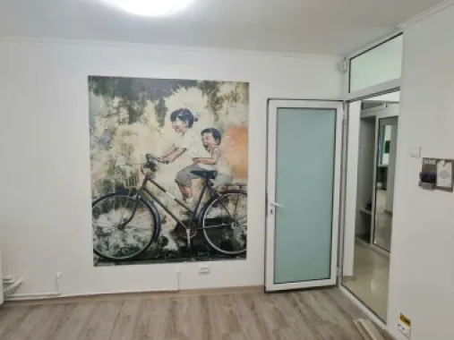 Oportunitate investitie - spatiu stradal Aurel Vlaicu, IC Frimu