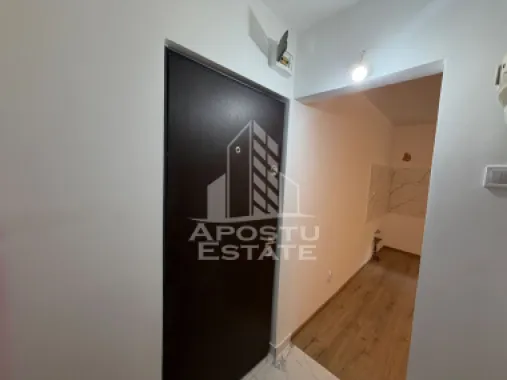 Garsoniera de vanzare , Zona Lipovei , Timisoara