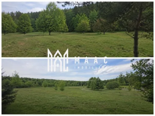 Teren extravilan 2000 mp | Rășinari | livadă, lângă Cisnădioara