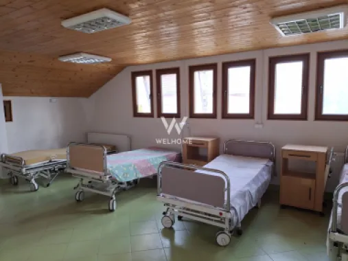 Casa cu 15 camere de vanzare in Bazna, Sibiu ( azil, pensiune)