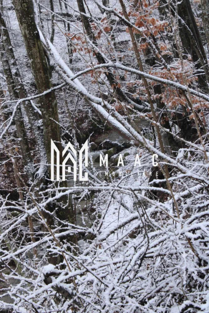 Teren I izvor de apă minerală Dangești I Punctul Valea Mare