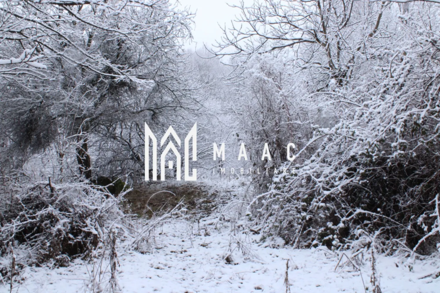 Teren I izvor de apă minerală Dangești I Punctul Valea Mare