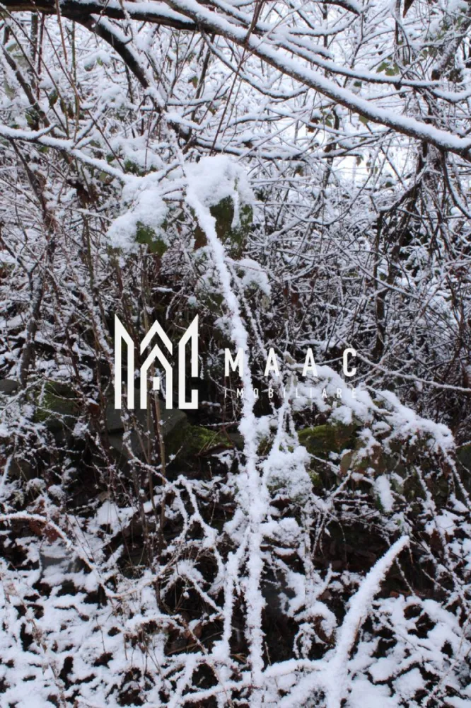 Teren I izvor de apă minerală Dangești I Punctul Valea Mare