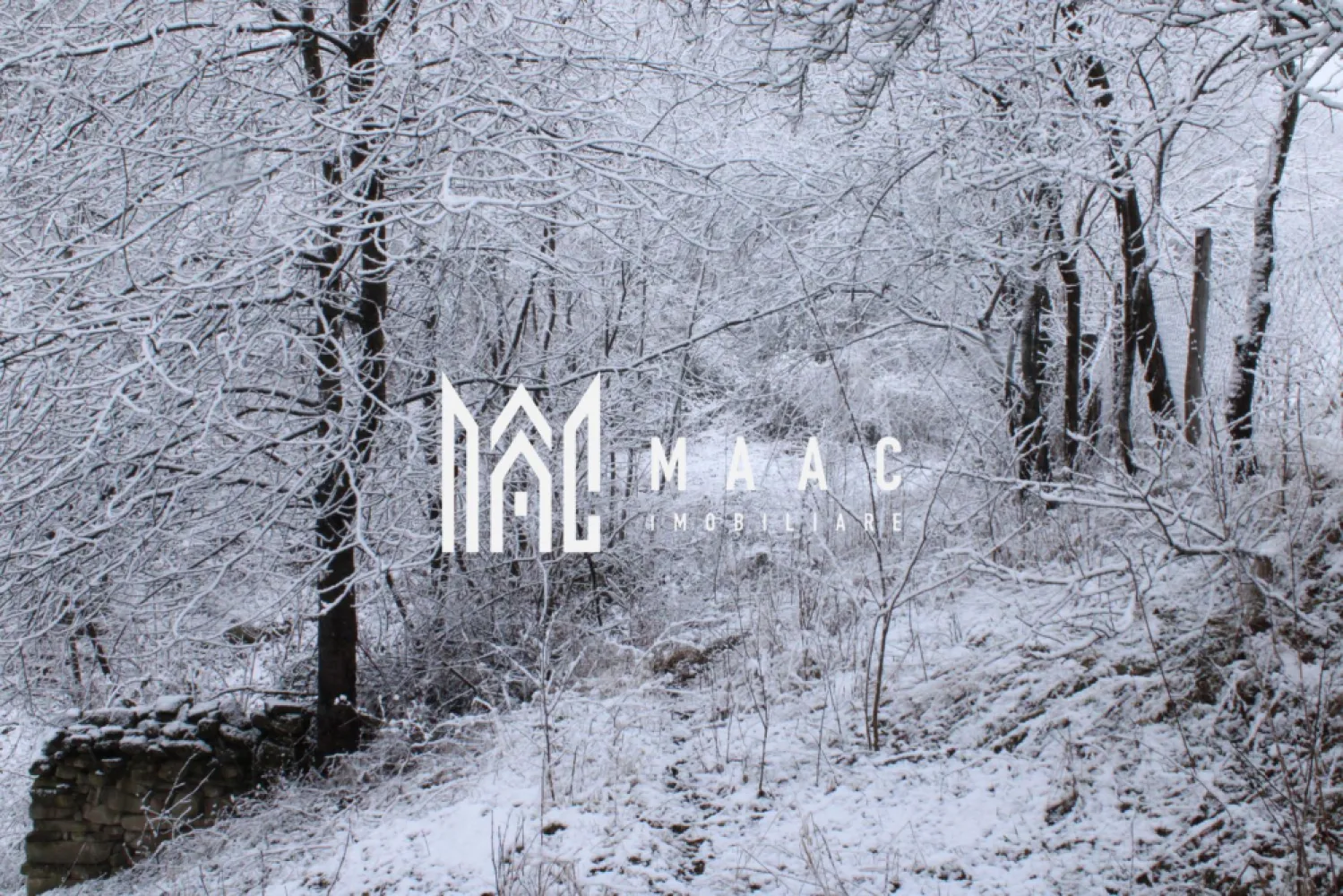 Teren I izvor de apă minerală Dangești I Punctul Valea Mare